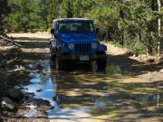 mark_on_the_trail
