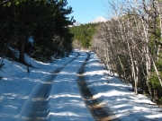 snowy_trail