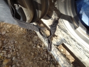 bill_trail_damage