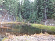 pond