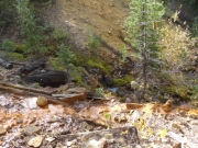 weird_stream_colors