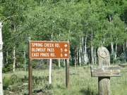 blowout_pass_sign