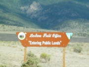 early_sign