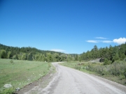 meadow
