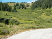 meadow_layers
