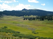 schinzel_flats_part_4