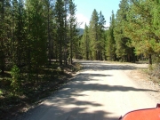 early_trail