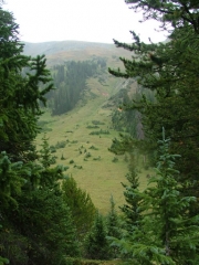 elk_part_1