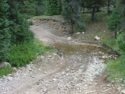 river_crossing