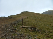 sign_down