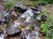 swan_river