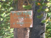 tony_mine