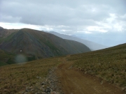 way_above_timberline