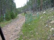 wrong_way