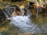 clear_water