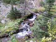 north_fork