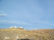 sheep_part_4