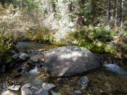 swan_river