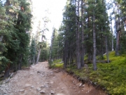 up_the_north_fork_part_2