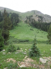 scenery