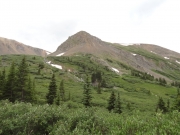 timberline
