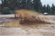 flying_through_the_muddy_water