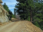 mellow_trail