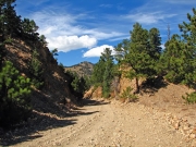 trail_in_a_cut