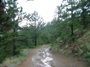 mellow_trail