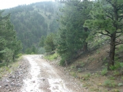 muddy_tracks
