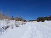 fresh_snow