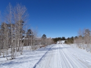 straight_ahead
