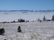 winter_view