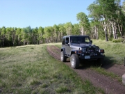walt_on_the_trail