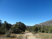 blue_sky