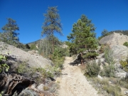 climbing