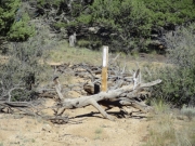 closed_trail