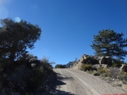 early_trail
