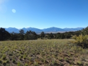 meadow_view