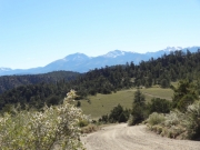 trail_with_a_view