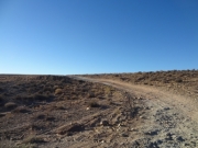 early_trail_bumps