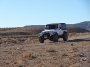 roger_on_the_trail