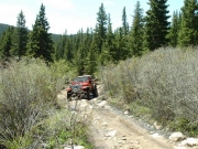 kris_on_the_trail