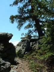scenery
