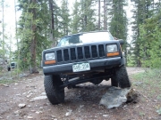 alanna_flexing
