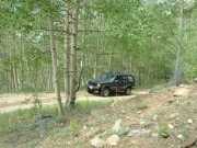 alanna_on_the_trail