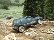 alanna_tippy_on_the_hill