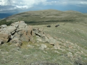 climbing_to_the_top