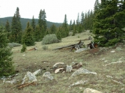 scenery
