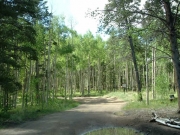 start_of_the_trail